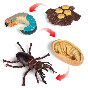 Novo 4pcs/set Insektov, Živali Model Simulacije Ciklus Rasti figuric Zbiranje Miniaturni Spoznavanja Izobraževalne Igrače za otroke